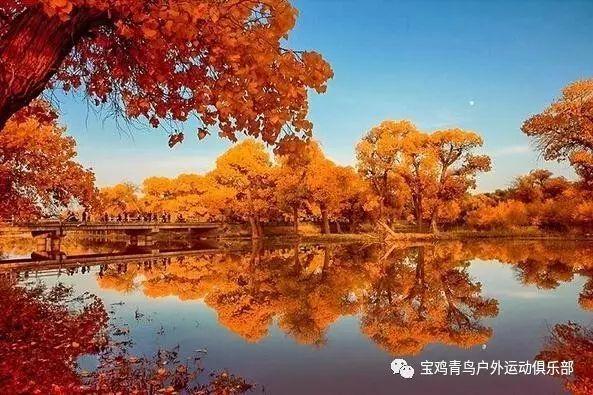 精彩乒乓球赛